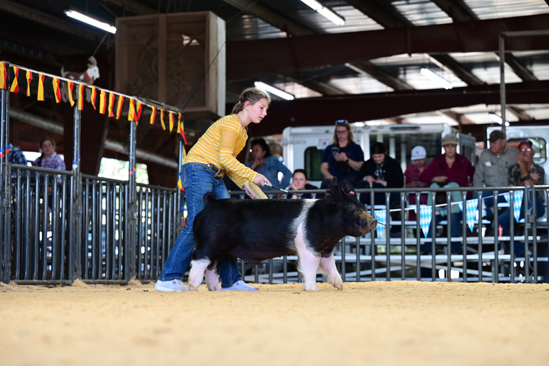 25GTT- RingAHamps-5200.jpg