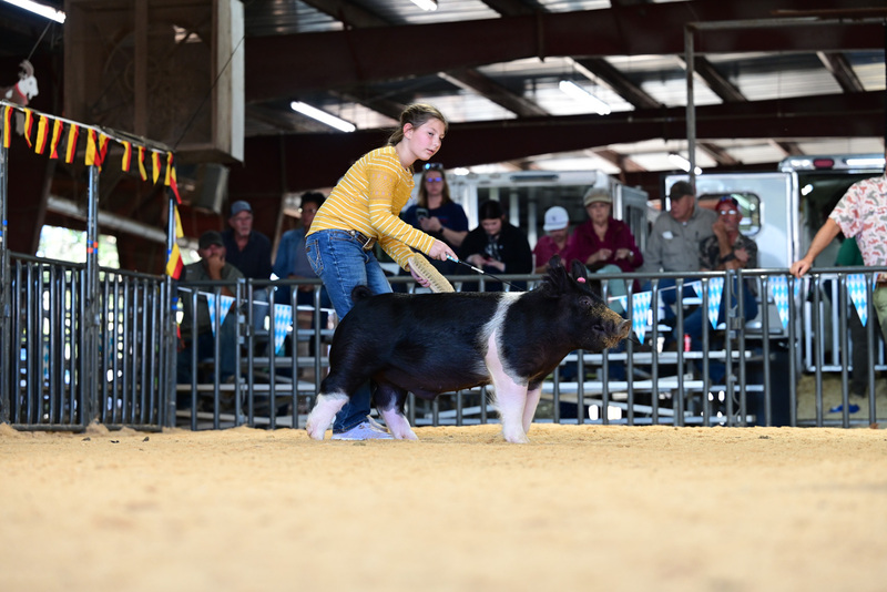 25GTT- RingAHamps-5201.jpg