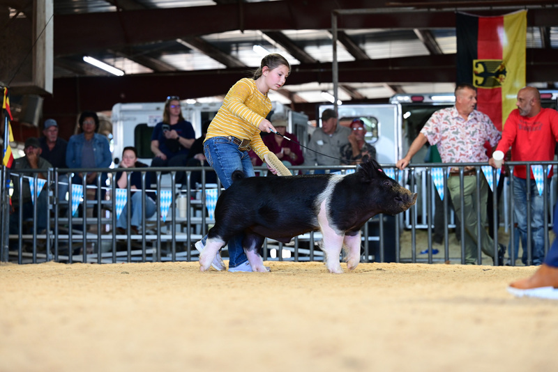 25GTT- RingAHamps-5202.jpg