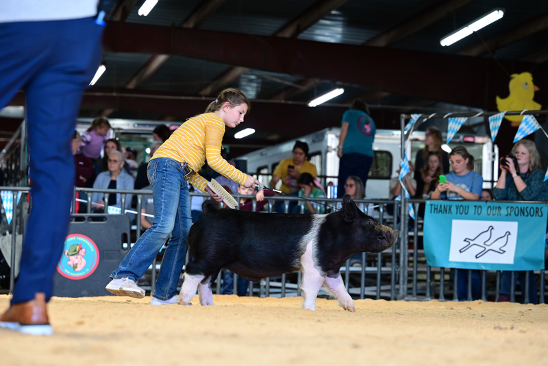 25GTT- RingAHamps-5203.jpg