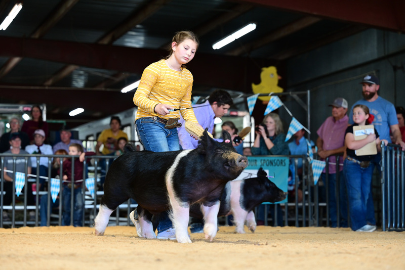 25GTT- RingAHamps-5204.jpg