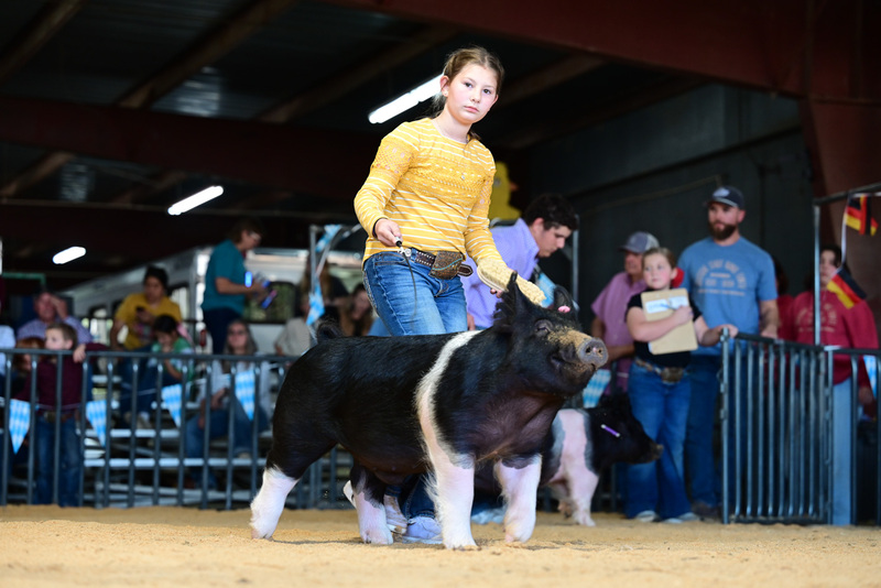 25GTT- RingAHamps-5205.jpg