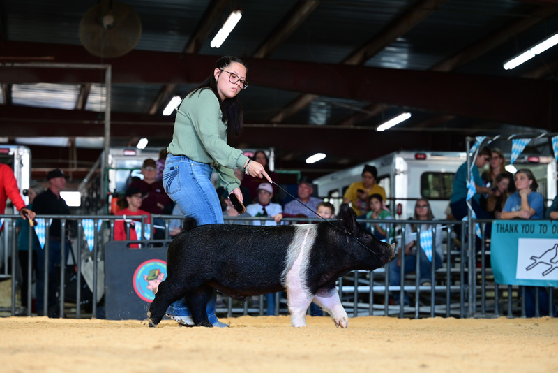 25GTT- RingAHamps-5207.jpg