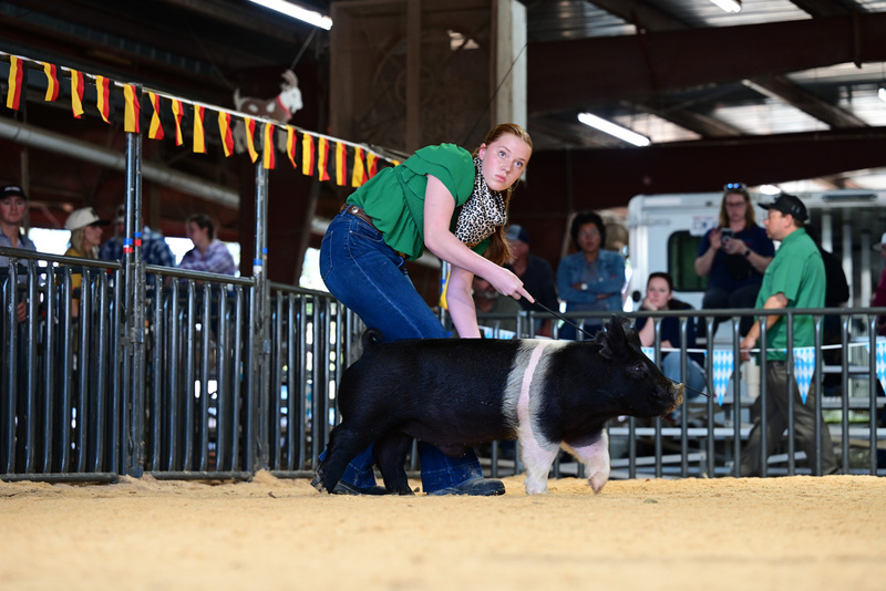 25GTT- RingAHamps-5208.jpg