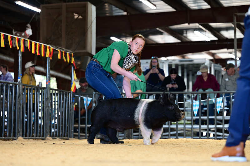 25GTT- RingAHamps-5209.jpg