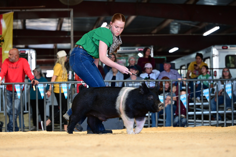 25GTT- RingAHamps-5210.jpg