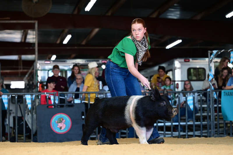 25GTT- RingAHamps-5211.jpg