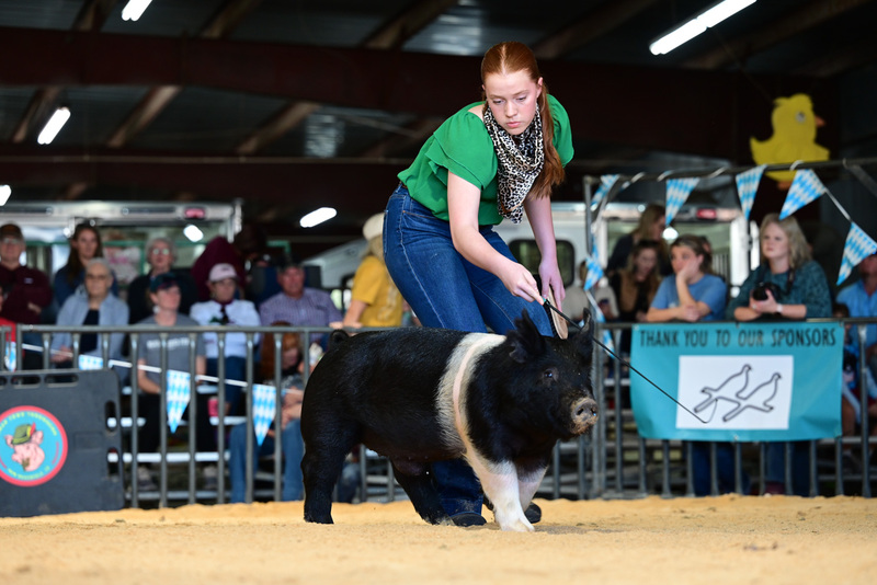 25GTT- RingAHamps-5212.jpg