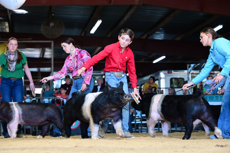 25GTT- RingAHamps-5214.jpg