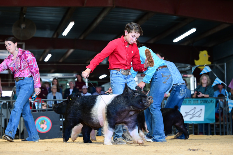 25GTT- RingAHamps-5215.jpg