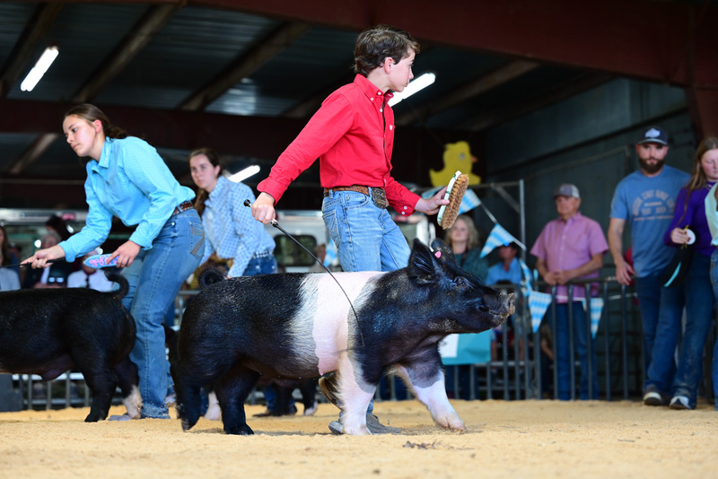 25GTT- RingAHamps-5216.jpg