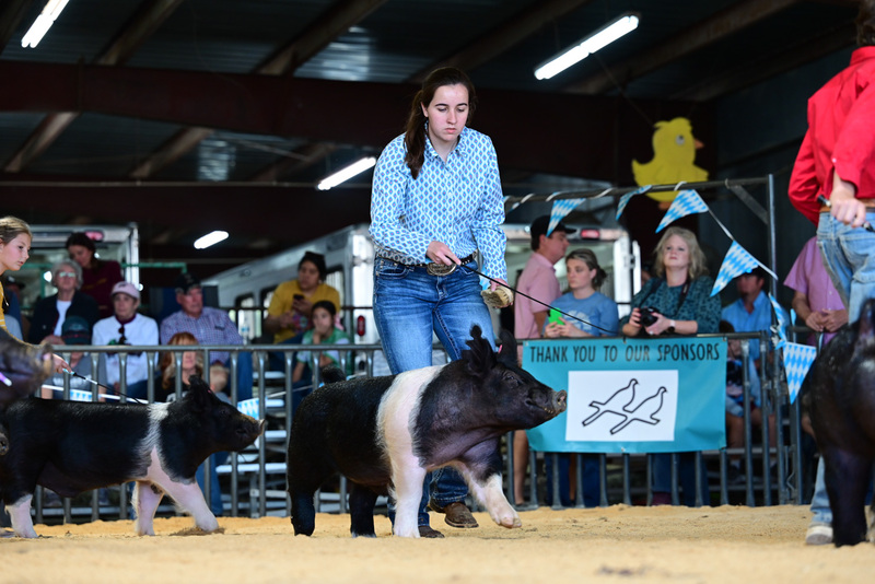 25GTT- RingAHamps-5217.jpg