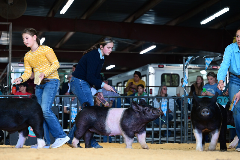 25GTT- RingAHamps-5219.jpg