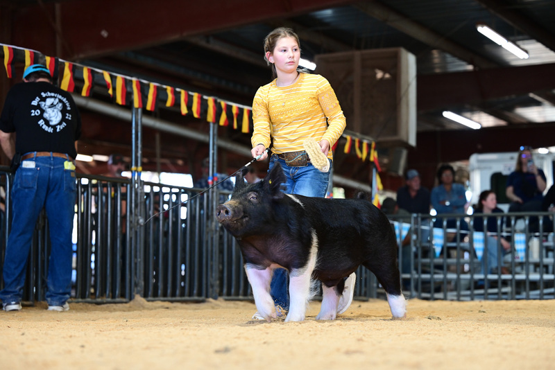 25GTT- RingAHamps-5220.jpg