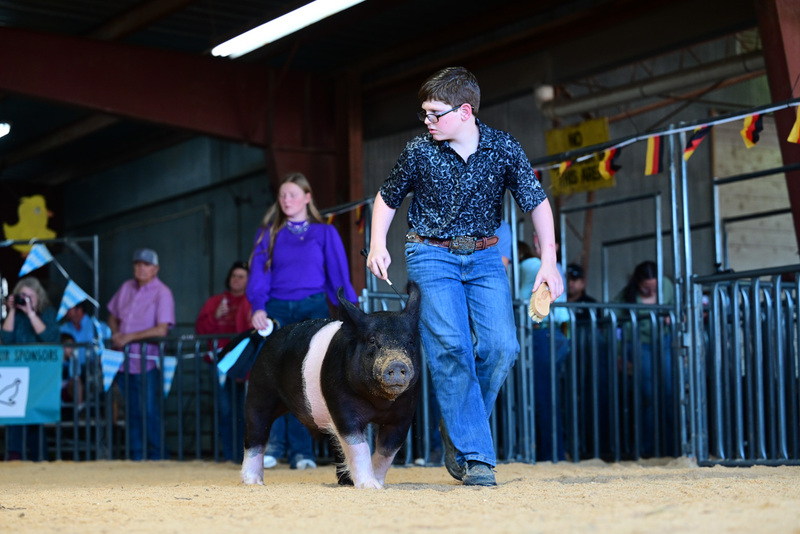 25GTT- RingAHamps-5223.jpg