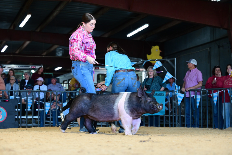 25GTT- RingAHamps-5225.jpg