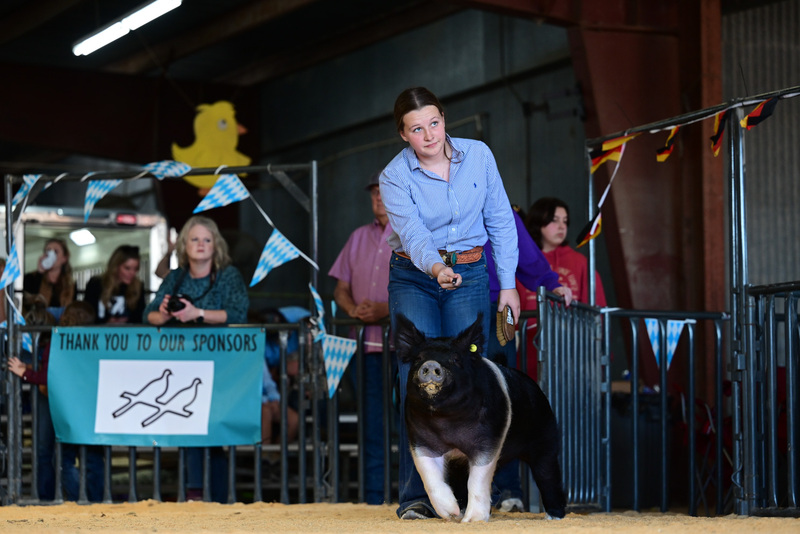 25GTT- RingAHamps-5232.jpg