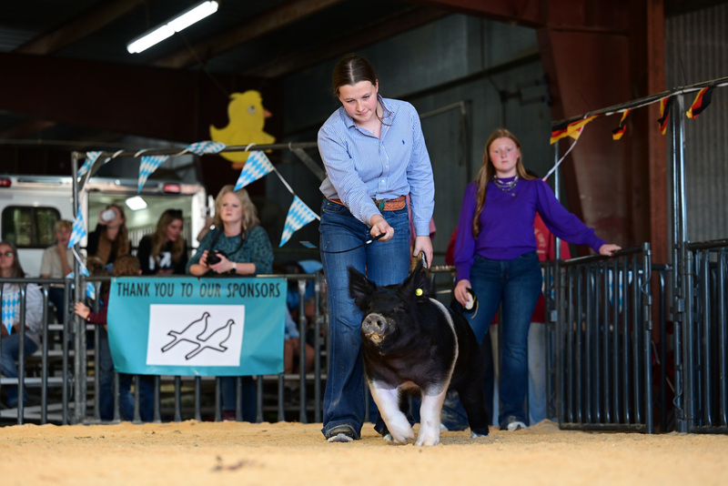 25GTT- RingAHamps-5233.jpg