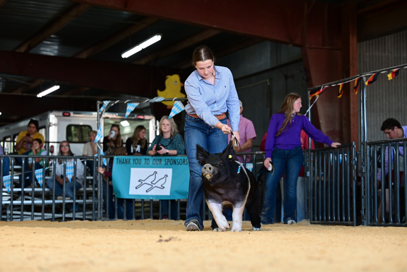 25GTT- RingAHamps-5234.jpg