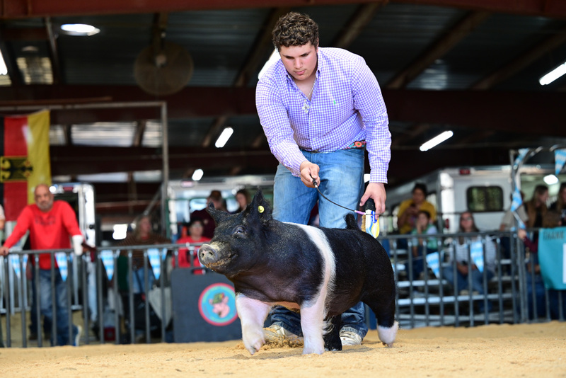 25GTT- RingAHamps-5240.jpg