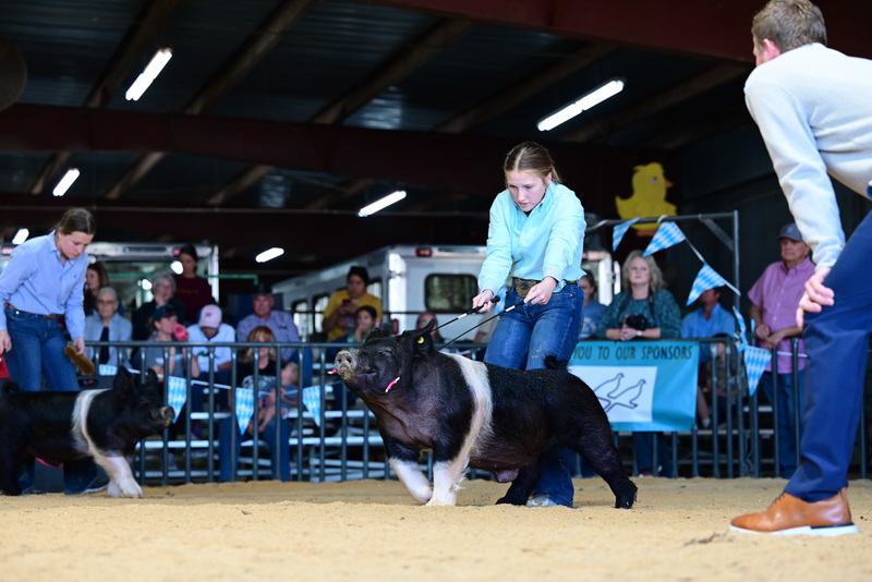 25GTT- RingAHamps-5241.jpg