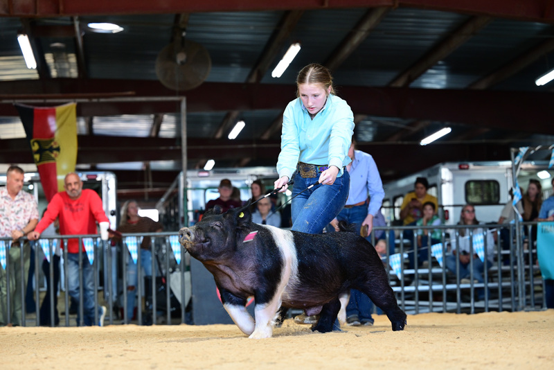 25GTT- RingAHamps-5243.jpg