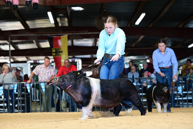 25GTT- RingAHamps-5244.jpg