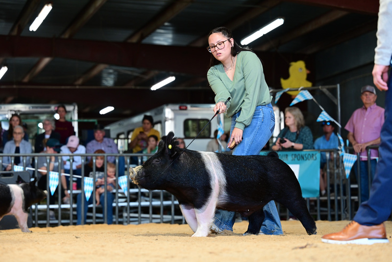 25GTT- RingAHamps-5245.jpg