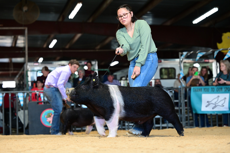 25GTT- RingAHamps-5246.jpg