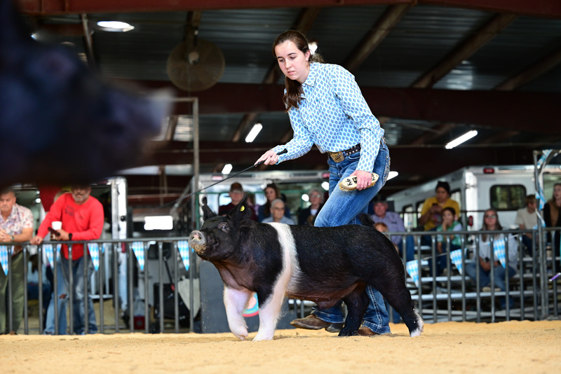 25GTT- RingAHamps-5249.jpg