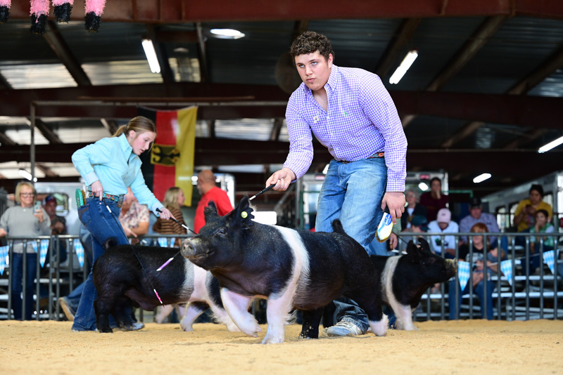 25GTT- RingAHamps-5251.jpg