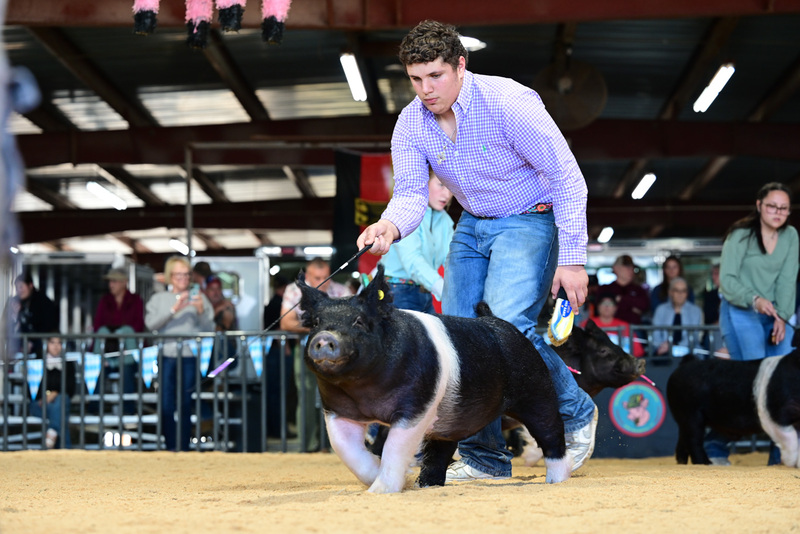 25GTT- RingAHamps-5252.jpg