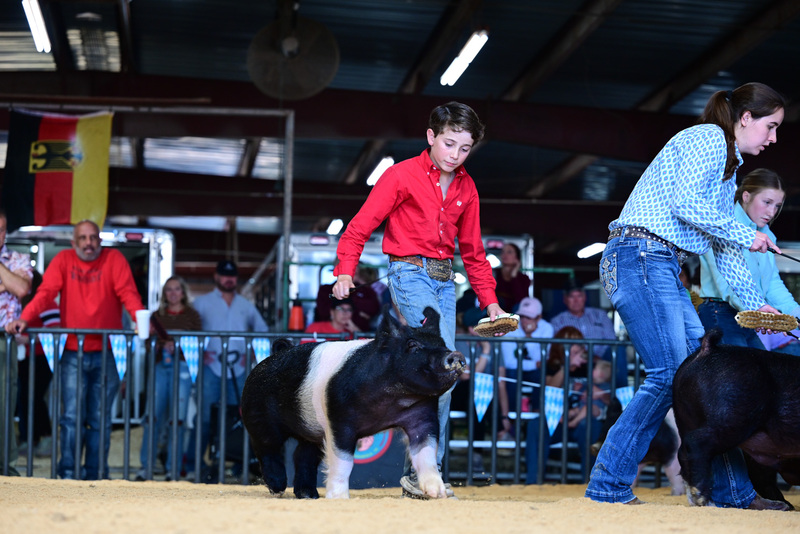 25GTT- RingAHamps-5253.jpg