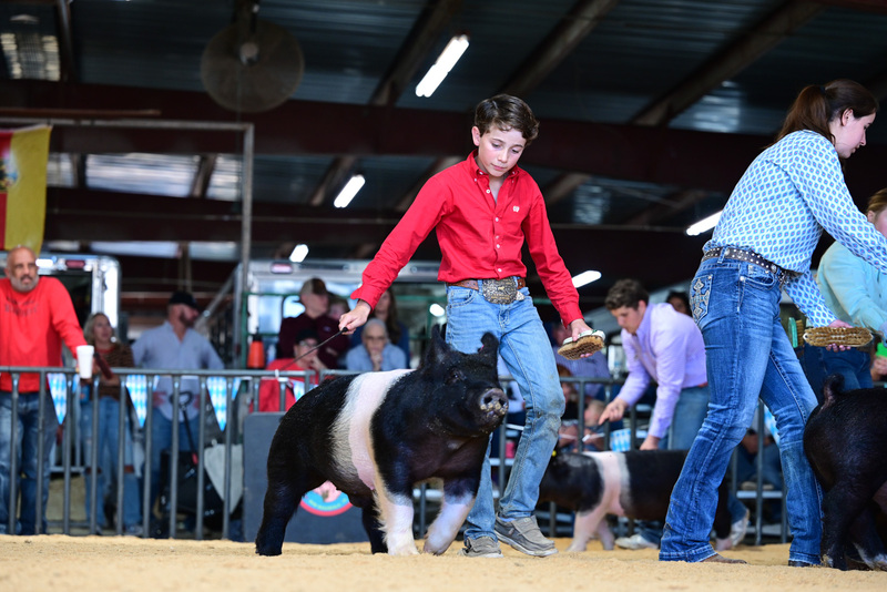 25GTT- RingAHamps-5254.jpg