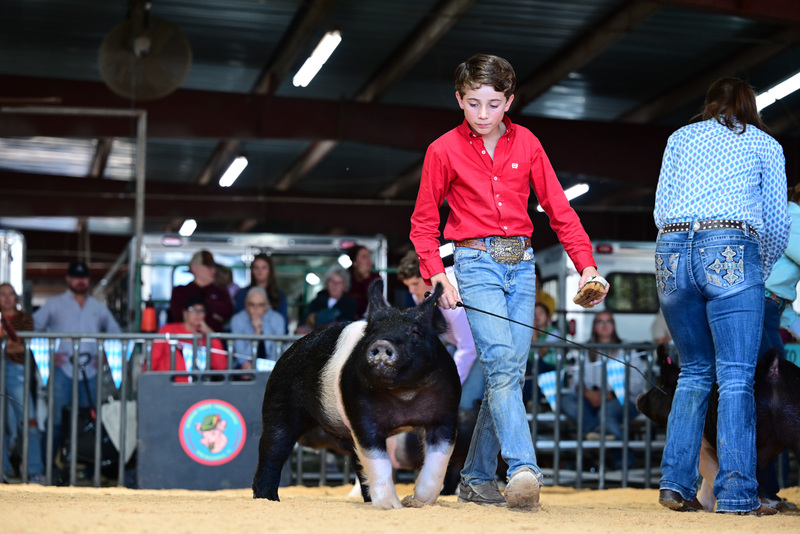 25GTT- RingAHamps-5255.jpg