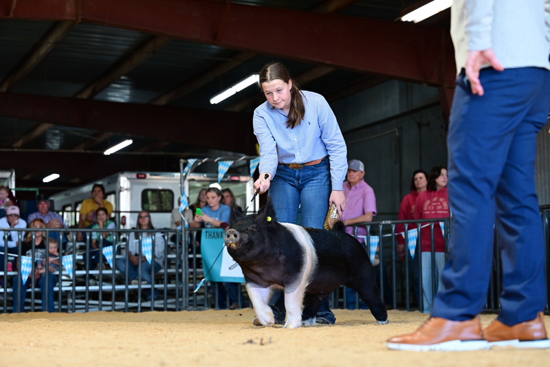 25GTT- RingAHamps-5256.jpg