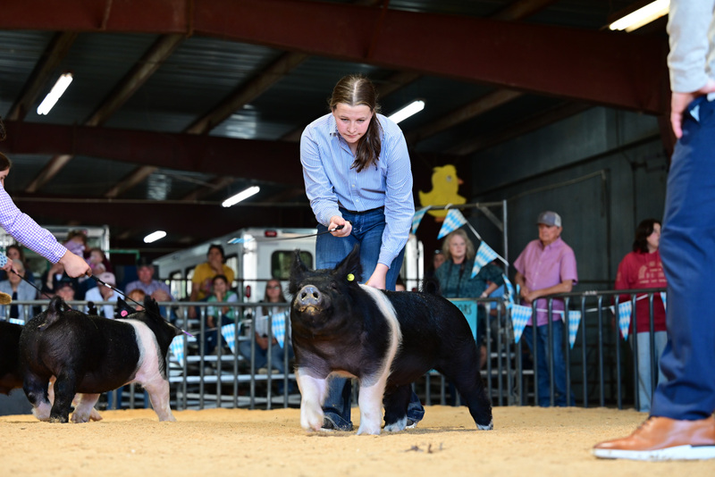 25GTT- RingAHamps-5257.jpg