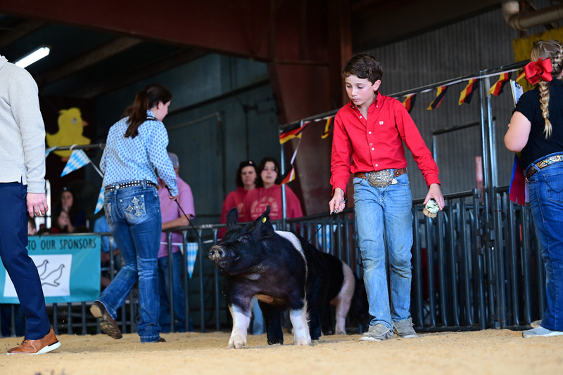 25GTT- RingAHamps-5258.jpg