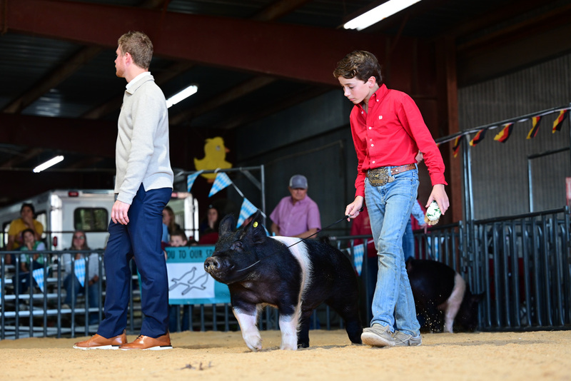 25GTT- RingAHamps-5260.jpg