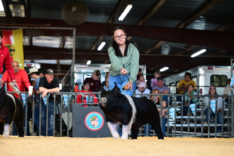 25GTT- RingAHamps-5262.jpg