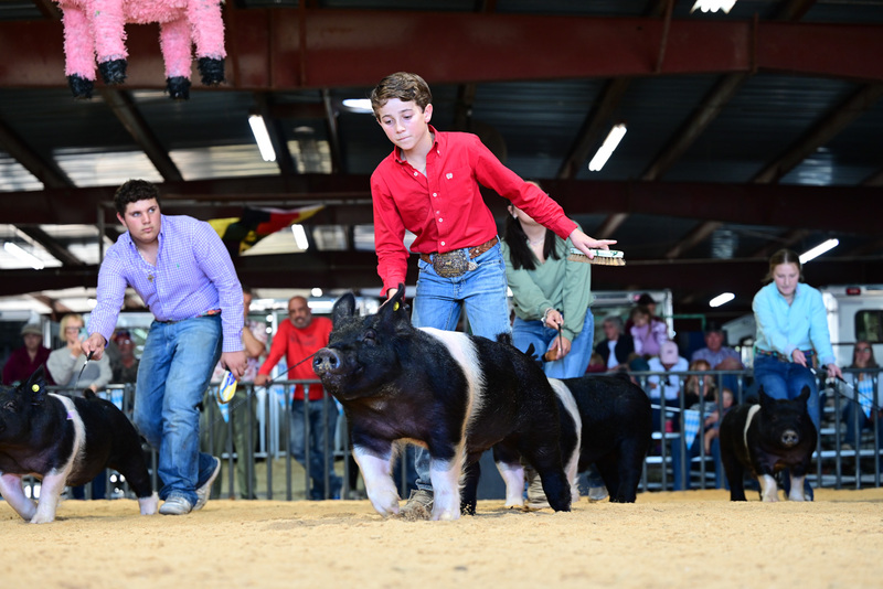 25GTT- RingAHamps-5267.jpg