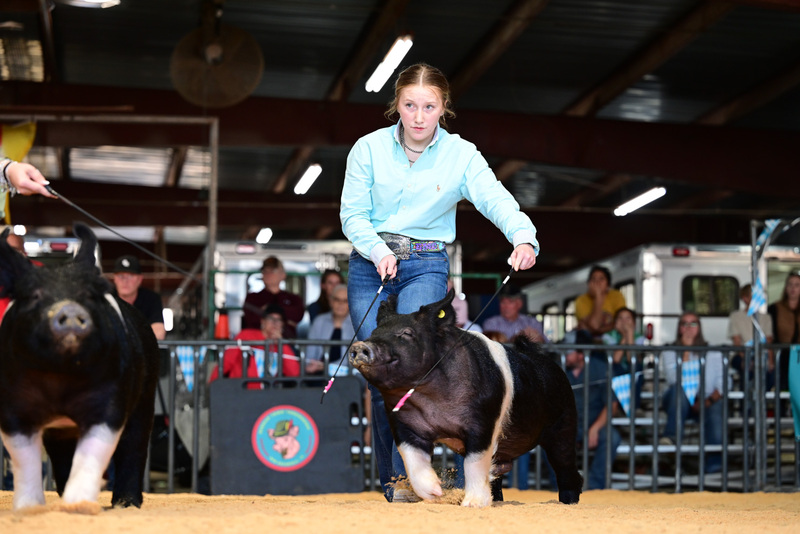 25GTT- RingAHamps-5268.jpg