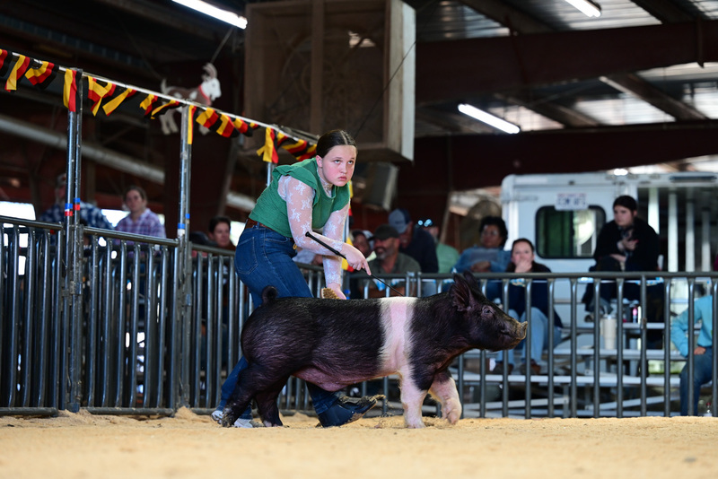 25GTT- RingAHamps-5273.jpg