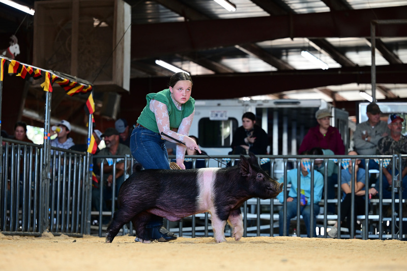 25GTT- RingAHamps-5274.jpg