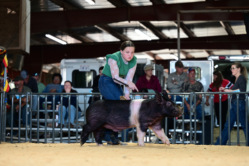 25GTT- RingAHamps-5275.jpg