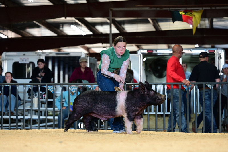 25GTT- RingAHamps-5276.jpg