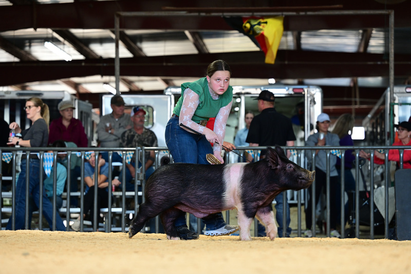 25GTT- RingAHamps-5277.jpg