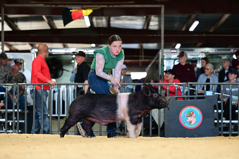 25GTT- RingAHamps-5278.jpg