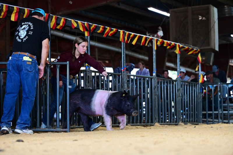 25GTT- RingAHamps-5279.jpg