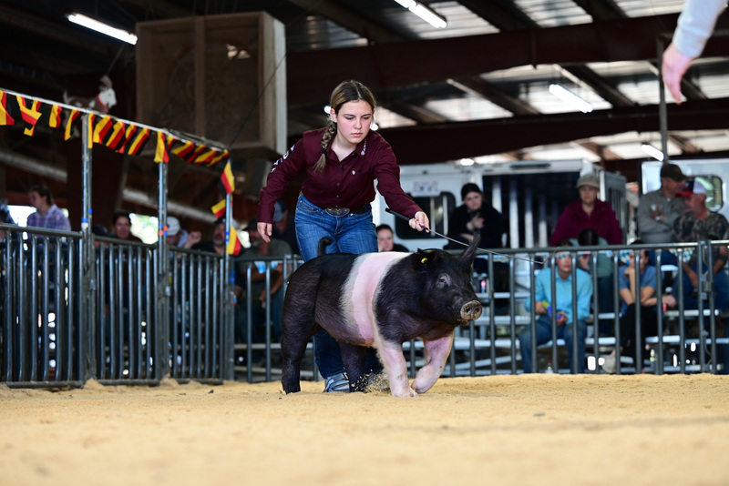 25GTT- RingAHamps-5283.jpg